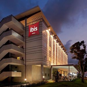 Ibis Bata